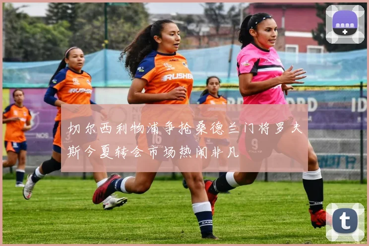 切尔西利物浦争抢桑德兰门将罗夫斯今夏转会市场热闹非凡